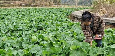 ¯ɽ�����޴壺�Ͳ�Խ�����ƺ� ũ������������